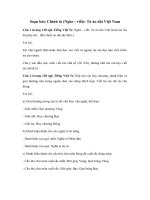 Tải Chính tả lớp 5 (Nghe - viết): Tà áo dài Việt Nam - Giải bài tập SGK Tiếng Việt 5 tập 2