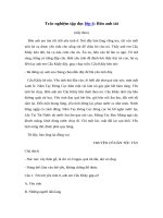 Tải Trắc nghiệm Bốn anh tài (tiếp theo) - Trắc nghiệm Tập đọc lớp 4