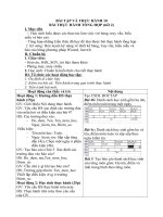 Tải Giáo án môn Tin học lớp 12 bài 32 - Bài tập và thực hành số 10