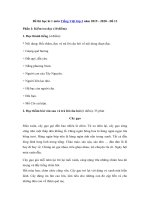 Tải Đề thi học kì 1 môn Tiếng Việt lớp 3 năm 2019 - 2020 - Đề 13 - Đề kiểm tra học kì 1 lớp 3 môn Tiếng Việt có đáp án