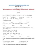 Tải Đề thi khảo sát chất lượng đầu năm lớp 11 môn Hóa 2020 - 2021 - Đề số 2 - Đề kiểm tra chất lượng đầu năm lớp 11 có đáp án