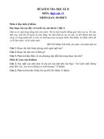 Tải Đề thi học kì 2 môn Ngữ văn lớp 11 trường THPT Phan Ngọc Hiển, Cà Mau - Đề kiểm tra học kỳ II môn Văn lớp 11 có đáp án