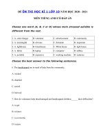 Tải Đề thi tiếng Anh lớp 10 học kì 1 năm 2020 - 2021 - Đề thi học kì 1 tiếng Anh lớp 10 có đáp án