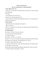 Tải Giáo án mầm non đề tài: Ngôi nhà của bé - Giáo án mầm non lớp mầm