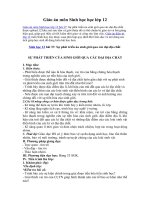 Tải Giáo án môn Sinh học lớp 12 bài 38 - Sự phát sinh loài người