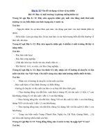 Tải Giải bài tập SGK Địa lý lớp 12 Bài 15: Bảo vệ môi trường và phòng chống thiên tai - Giải bài tập sách giáo khoa Địa lí 12