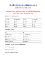 Tải Đề thi học kì 1 lớp 3 môn tiếng Anh năm 2020 - 2021 - Đề thi tiếng Anh lớp 3 học kì 1 có đáp án