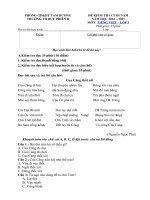 Tải Đề thi học kì 2 môn Tiếng Việt lớp 3 trường Tiểu học Duy Phiên B, Vĩnh Phúc năm 2016 - 2017 - Đề kiểm tra cuối năm môn Tiếng Việt 3 có đáp án