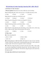 Tải Đề thi học kì 2 môn Toán lớp 5 năm học 2019 - 2020 - Đề số 3 - Đề thi toán lớp 5 học kì 2