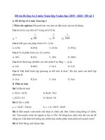 Tải Đề thi học kì 2 môn Toán lớp 5 năm học 2019 - 2020 - Đề số 1 - Đề thi toán lớp 5 học kì 2