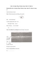 Tải Giải vở bài tập Tiếng Việt lớp 3 tập 2 tuần 22: Chính tả - Giải vở bài tập Tiếng Việt lớp 3 tuần 22