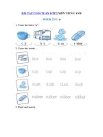 Tải Phiếu bài tập cuối tuần môn Tiếng Anh lớp 2 Tuần 23 - Bài tập cuối tuần 23 môn tiếng Anh lớp 2 có đáp án