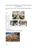 Tải Giải bài tập SGK Địa lí 4 bài 20: Hoạt động sản xuất của người dân ở Đồng bằng Nam Bộ (tiếp theo) - Giải bài tập môn Địa lý lớp 4 tập 2