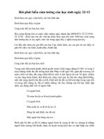 Tải Bài phát biểu cảm tưởng của học sinh ngày 22-12 - Bài phát biểu cảm nghĩ ngày thành lập Quân đội Nhân dân Việt Nam