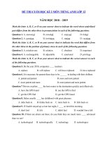 Tải Đề thi học kì 2 lớp 12 môn Tiếng Anh trường THPT Hồng Thái năm học 2018 - 2019 - Đề thi học kì 2 môn Tiếng Anh lớp 12 chương trình mới