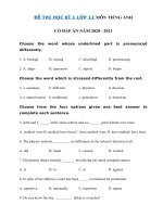 Tải Đề thi học kì 1 tiếng Anh lớp 12 thí điểm có đáp án - Đề thi tiếng Anh 12 học kì 1 có đáp án