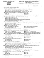 Tải Đề thi giữa học kì 2 lớp 10 môn Lịch sử năm 2018 - 2019 trường THPT Ngô Quyền - Hải Phòng - Đề kiểm tra giữa kì 2 Lịch sử 10 có đáp án