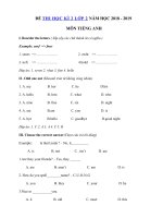 Tải Đề thi học kì 2 lớp 2 môn Tiếng Anh năm học 2018 - 2019 số 4 - Đề thi môn Tiếng Anh lớp 2 học kỳ 2 theo thông tư 22 có đáp án