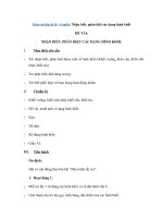 Tải Giáo án lớp lá (5 - 6 tuổi): Nhận biết, phân biệt các dạng hình khối - Giáo án mầm non lớp 5 - 6 tuổi