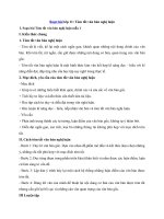 Tải Soạn bài Tóm tắt văn bản nghị luận - Soạn văn 11 học kỳ 2