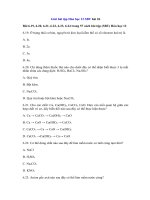 Tải Giải bài tập Hóa học 12 SBT bài 26 - Kim loại kiềm thổ và hợp chất quan trọng của kim loại kiềm thổ