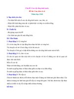 Tải Giáo án lớp chồi (4 - 5 tuổi): Cua, tôm và cá - Giáo án mầm non lớp 4 - 5 tuổi