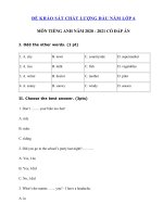 Tải Đề thi chất lượng đầu năm lớp 6 môn tiếng Anh năm 2020 - 2021 - Đề kiểm tra chất lượng tiếng Anh 6 có đáp án