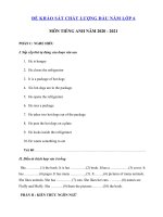 Tải Đề kiểm tra chất lượng đầu năm lớp 6 môn tiếng Anh năm 2020 - 2021 - Đề KSCL đầu năm môn tiếng Anh 6 có đáp án