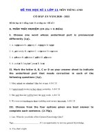Tải Bộ đề thi học kì 1 lớp 11 môn tiếng Anh có đáp án - 2 Đề thi tiếng Anh học kì 1 lớp 11 năm 2020 có đáp án