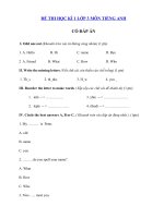 Tải Đề thi tiếng Anh lớp 3 học kì 1 trường Tiểu học Ngọc Vân - Đề kiểm tra tiếng Anh lớp 3 có đáp án