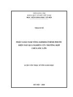 phật giáo nam tông khmer ở bình phước hiện nay qua nghiên cứu trường hợp chùa sóc lớn 