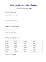 Tải Đề thi học kì 2 lớp 3 môn tiếng Anh năm 2019 - 2020 số 3 - Đề tiếng Anh lớp 3 học kì 2 có đáp án