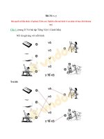 Tải Giải Vở bài tập Tiếng Việt lớp 1 trang 25 Bài 34: v, y - Sách Cánh Diều