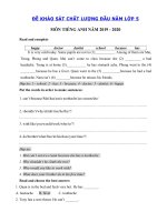 Tải Đề khảo sát chất lượng đầu năm lớp 5 môn tiếng Anh - Đề kiểm tra đầu năm môn tiếng Anh lớp 5 có đáp án