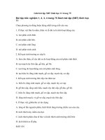 Tải Giải bài tập SBT Sinh học 11 trang 75 - Sinh trưởng và phát triển ở thực vật