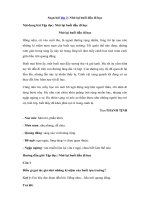 Tải Tập đọc lớp 3: Nhớ lại buổi đầu đi học - Giải bài tập SGK Tiếng Việt 3 tập 1