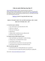 Tải Giáo án môn Sinh học lớp 12 bài 28 - Trọng tâm kiến thức ôn tập