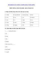 Tải Đề thi khảo sát đầu năm lớp 6 môn tiếng Anh năm 2020 - 2021 - Đề thi khảo sát chất lượng đầu năm lớp 6 môn tiếng Anh có đáp án