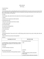 Tải Giáo án bài Viếng lăng Bác - Giáo án điện tử Ngữ Văn 9