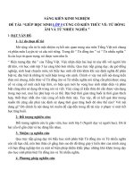 Tải Sáng kiến kinh nghiệm: Củng cố kiến thức về từ đồng âm và từ nhiều nghĩa lớp 5 - Sáng kiến kinh nghiệm bậc Tiểu học