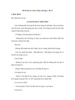 Tải Đề thi học kì 2 môn Tiếng Việt lớp 3 - Đề 11 - Đề kiểm tra học kì 2 môn Tiếng Việt lớp 3 có đáp án