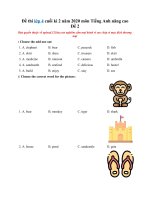 Tải Đề thi lớp 4 cuối kì 2 năm 2020 môn Tiếng Anh nâng cao - Đề 2 - Đề kiểm tra tiếng Anh lớp 4 học kỳ 2 có đáp án