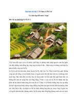 Tải Top các bài văn Tả Sapa, tả Đà Lạt Hay nhất - 06 bài tả cảnh đẹp đất nước Việt Nam