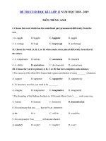 Tải Đề thi học kì 2 lớp 12 môn Tiếng Anh năm học 2018 - 2019 số 5 - Đề thi môn Tiếng Anh lớp 12 học kì 2 có đáp án