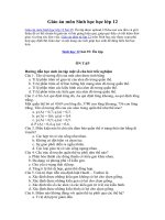 Tải Giáo án môn Sinh học lớp 12 bài 35 - Ôn tập