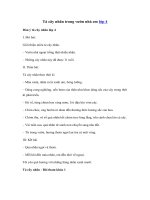 Tải Tập làm văn lớp 4: Tả cây nhãn - Top bài văn tả cây nhãn lớp 4