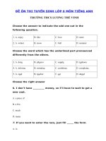 Tải Đề thi thử tiếng Anh vào lớp 6 trường THCS Lương Thế Vinh năm 2020 số 2 - Đề thi tuyển sinh lớp 6 môn tiếng Anh có đáp án