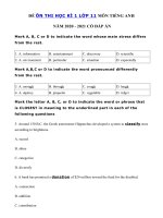 Tải Đề thi học kì 1 lớp 11 môn tiếng Anh năm 2020 - 2021 số 2 - Đề thi học kì 1 tiếng Anh 11 có đáp án