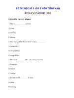 Tải Đề thi tiếng Anh lớp 3 học kỳ 2 năm 2019 - 2020 số 4 - Đề tiếng Anh lớp 3 học kì 2 có đáp án