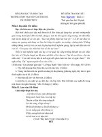 Tải Đề thi học kì 2 môn Ngữ văn lớp 11 trường THPT Nguyễn Chí Thanh, TP. Hồ Chí Minh - Đề kiểm tra học kỳ II môn Văn lớp 11 có đáp án